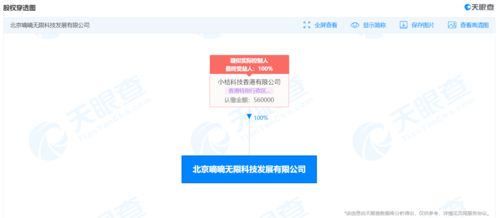 滴滴關(guān)聯(lián)公司申請 新桔 新桔代駕 商標(biāo)